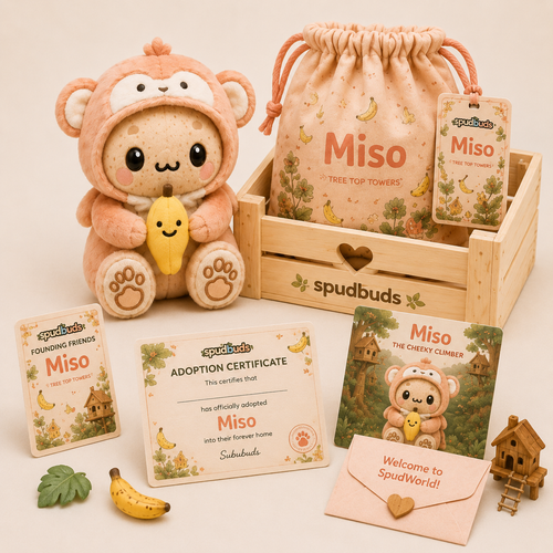 ✨ PRE-ORDER | Miso